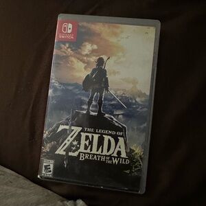 Nintendo Black and Gray Video Game The Legend of Zelda Breath of the Wild